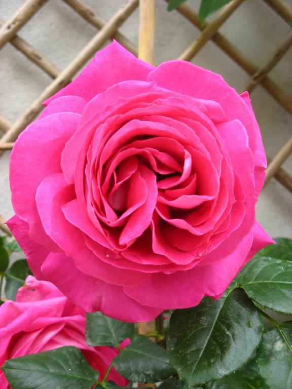 Le Chai De La Rose Spa Et Seances Bien Etre ดูเอ-ลา-ฟงแตน ภายนอก รูปภาพ